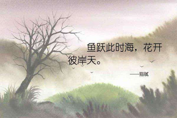 鱼跃此时海，花开彼岸天